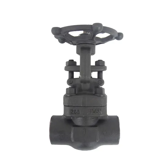 A105n Forged Steel Gate Valve Socket Welding Connection 800lb